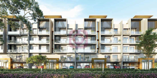 1672855959-Cover Image