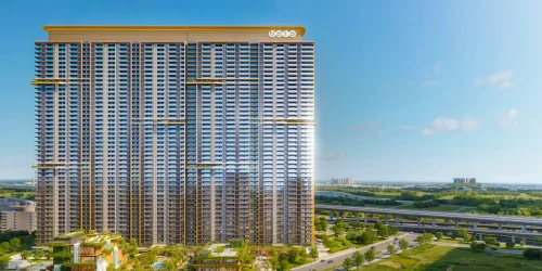 2025-05-10_05-05-21_d